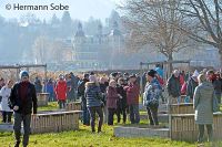 Velden Neujahrschwimmen Im Casino Bad 12  Foto Hermann Sobe